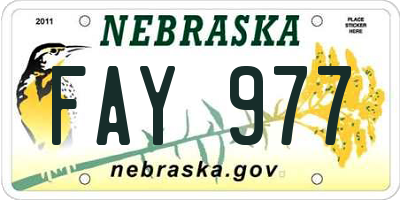 NE license plate FAY977