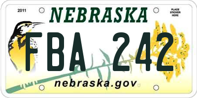 NE license plate FBA242