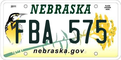 NE license plate FBA575