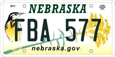 NE license plate FBA577