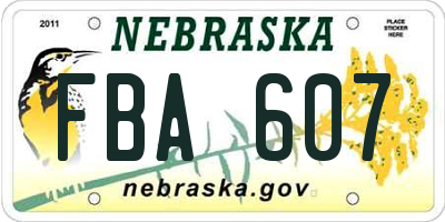 NE license plate FBA607