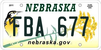 NE license plate FBA677