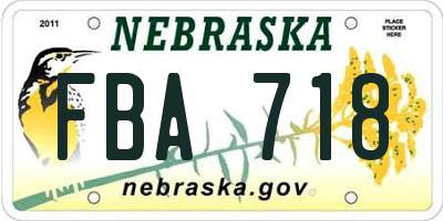 NE license plate FBA718
