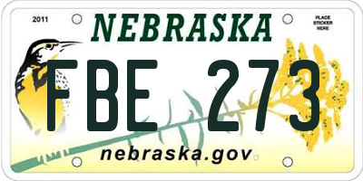 NE license plate FBE273