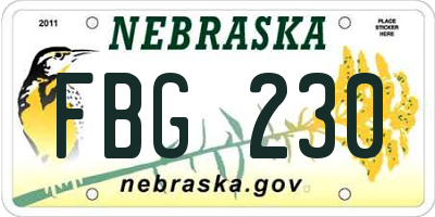 NE license plate FBG230