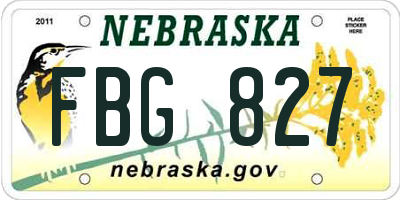 NE license plate FBG827