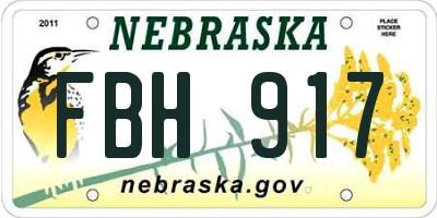 NE license plate FBH917