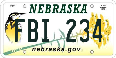 NE license plate FBI234