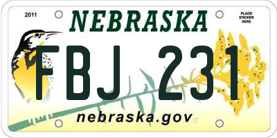 NE license plate FBJ231