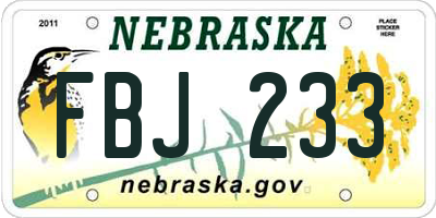 NE license plate FBJ233