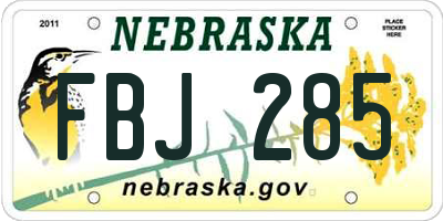NE license plate FBJ285
