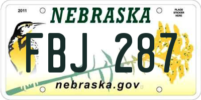 NE license plate FBJ287
