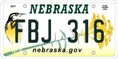 NE license plate FBJ316