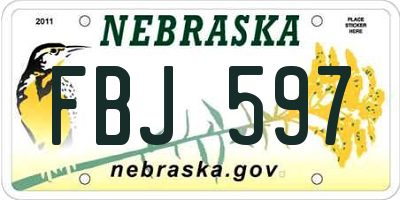 NE license plate FBJ597