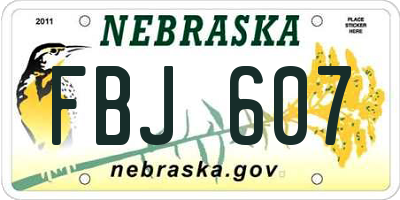 NE license plate FBJ607