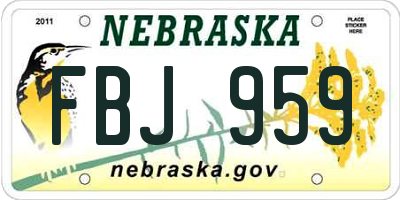 NE license plate FBJ959