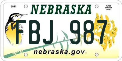 NE license plate FBJ987
