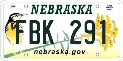 NE license plate FBK291