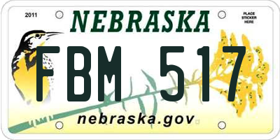 NE license plate FBM517
