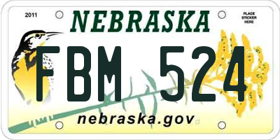 NE license plate FBM524