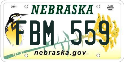 NE license plate FBM559