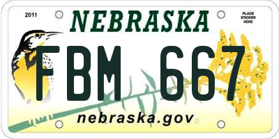 NE license plate FBM667