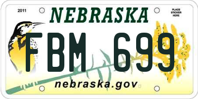 NE license plate FBM699