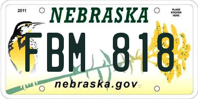 NE license plate FBM818