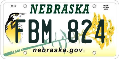 NE license plate FBM824
