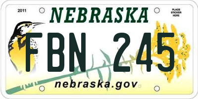 NE license plate FBN245