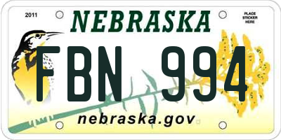 NE license plate FBN994