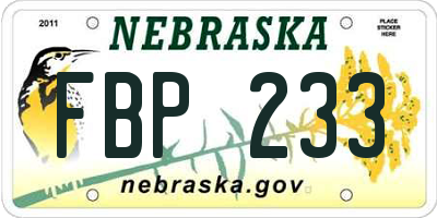 NE license plate FBP233