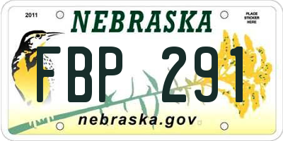 NE license plate FBP291