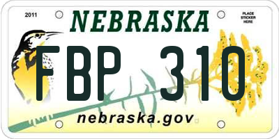 NE license plate FBP310