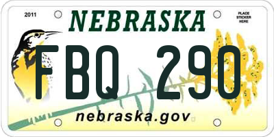 NE license plate FBQ290