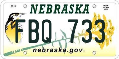NE license plate FBQ733