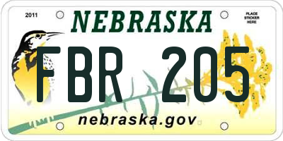 NE license plate FBR205