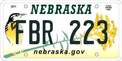 NE license plate FBR223