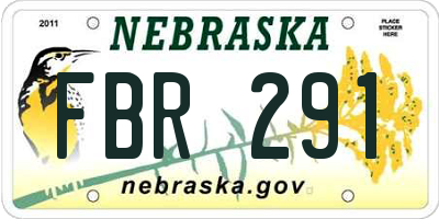NE license plate FBR291