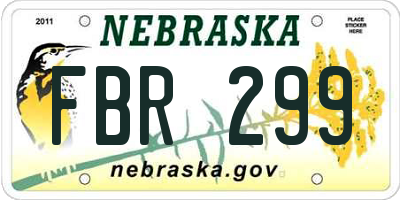 NE license plate FBR299