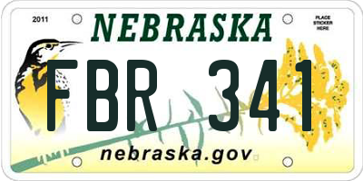 NE license plate FBR341