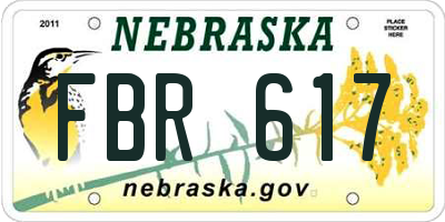NE license plate FBR617