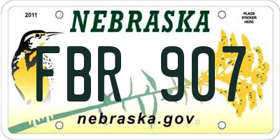 NE license plate FBR907