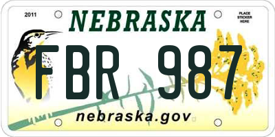 NE license plate FBR987