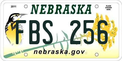 NE license plate FBS256