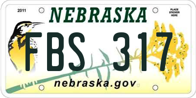 NE license plate FBS317