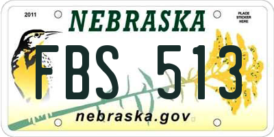 NE license plate FBS513