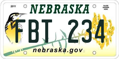 NE license plate FBT234