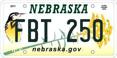NE license plate FBT250