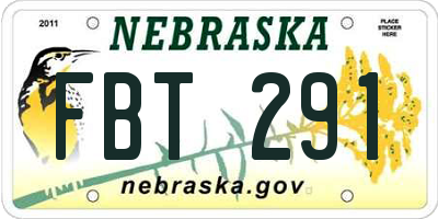 NE license plate FBT291